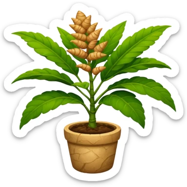 ginger plant sticker