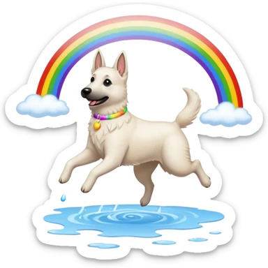 White belgian Shepard jumping over Rain puddles. There is a rainbow in the sky sticker
