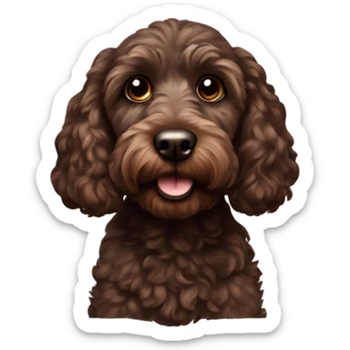 Dark brown cockapoo sticker