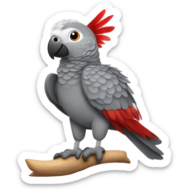 African grey parrot with red feather on his tail  sticker