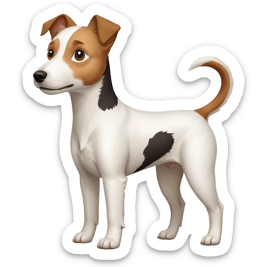 a full body white parson russell looking dog the size of a kelpie with light brown ears and a light brown patch on one eye and a large snout sticker