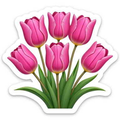 Pink tulips sticker