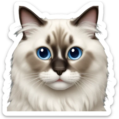 Ragdoll cat sticker
