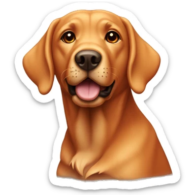 a labrador with burnt orange color fur and floppy ears  sticker