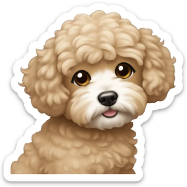 A black haired women hugging light brown maltipoo sticker