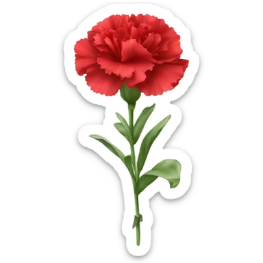 Red Carnation flower sticker