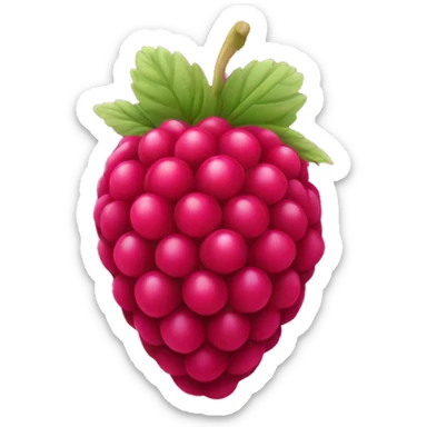 Raspberry sticker