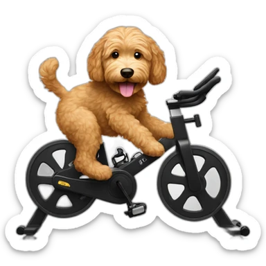 Goldendoodle riding a spin bike sticker