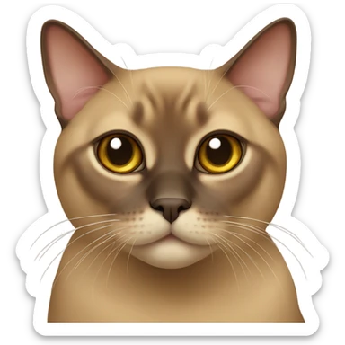 Burmese cat brown sticker