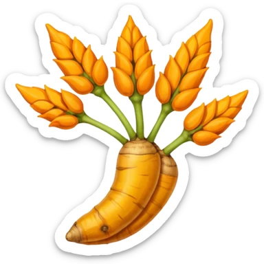 turmeric root sticker