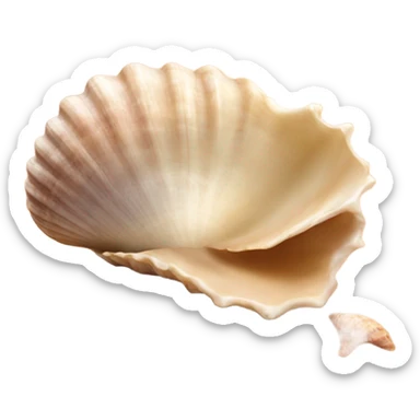 sea shell on beach with sunset sticker