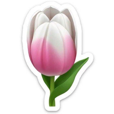 Pink and white tulips sticker