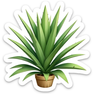 yucca plant with spiky green leaves sticker