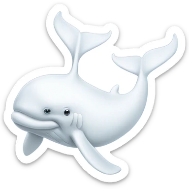 white whale , underside sticker
