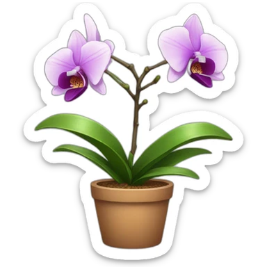 Potted orchid sticker