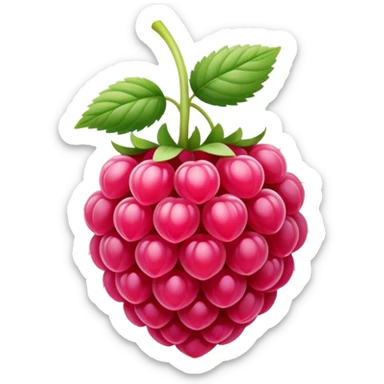 Pale pink raspberry  sticker
