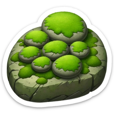A patch of bright moss covering smooth forest stones.









































 sticker