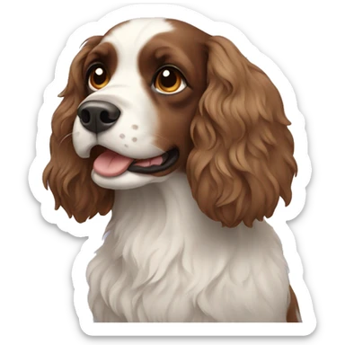 Spaniel sticker