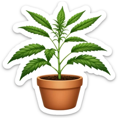 marihuana plant in a pot sticker