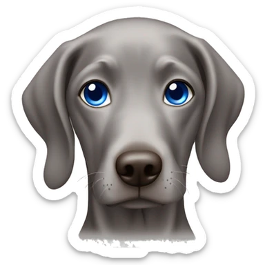 Weimaraner with blue eyes sticker