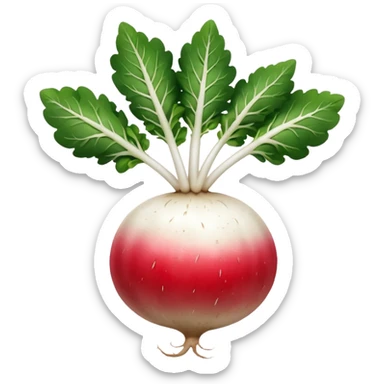 radish UK plant with a bit of white on the bottom of the radish sticker
