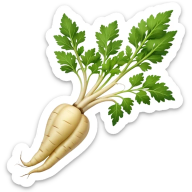parsnip root without green leafs sticker