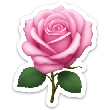 Pink rose sticker
