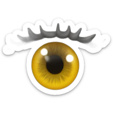 anatomy eye scheme sticker