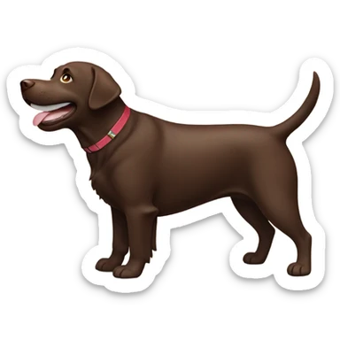 Labrador Retriver chocolate color very happy sticker