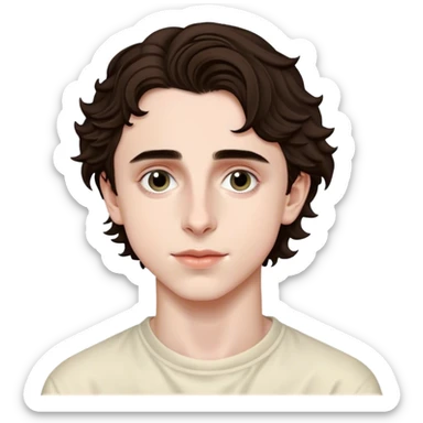 Timothee chalamet  sticker