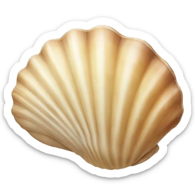 seashell sticker