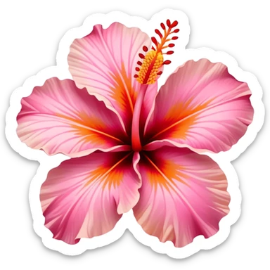 Pink and orange Hibiscus flower sticker