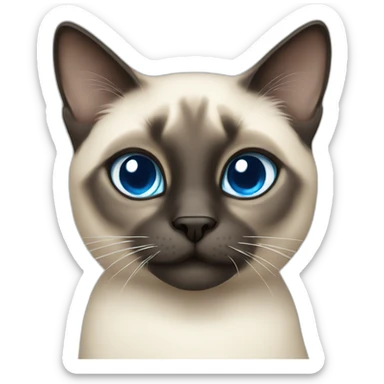 Siamese blue eyed cat sticker