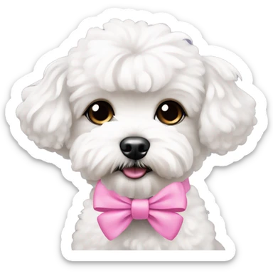 cute white maltipoo with pink bows on her ears  sticker