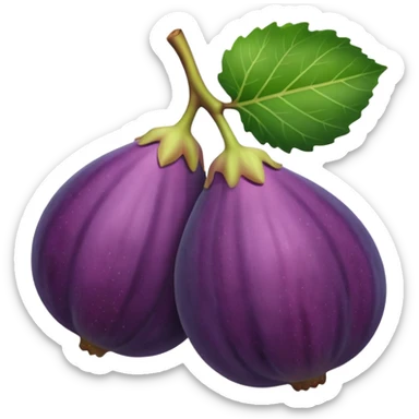 Fig sticker