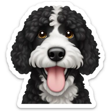 Bernadoodle black with white near mouth sticker