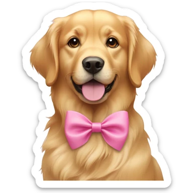 golden retriver female with a pink bow in her left ear sticker