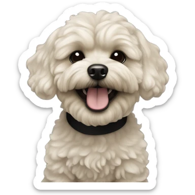 Maltipoo dog. All black in color everywhere. No other color. Extreme underbite with teeth showing  sticker