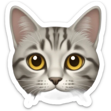un chat trop mignion sticker