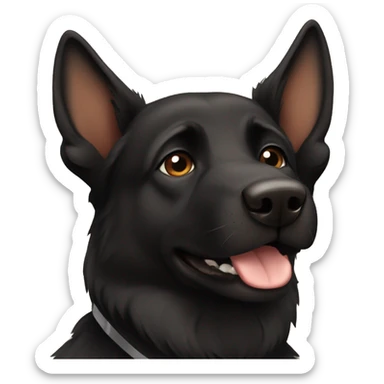 Black German Shepard with brown collar sticker
