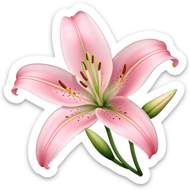 light pink lilium sticker