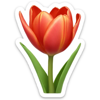 Tulips  sticker