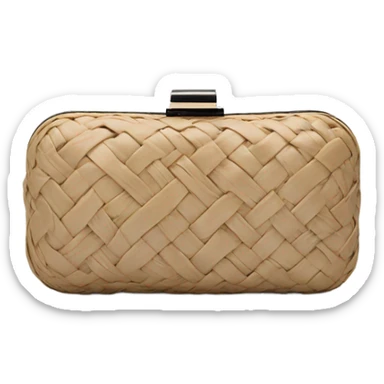 Andiamo Clutch bottega veneta sticker