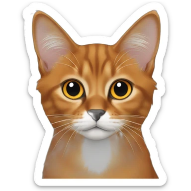 Orange black and white Somali Cat face sticker