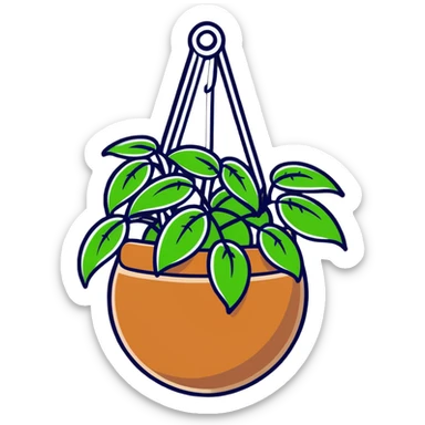 Plectranthus Verticillatus with cascading vines and perfect circle-shaped leaves like coins in a coconut fiber hanging basket sticker