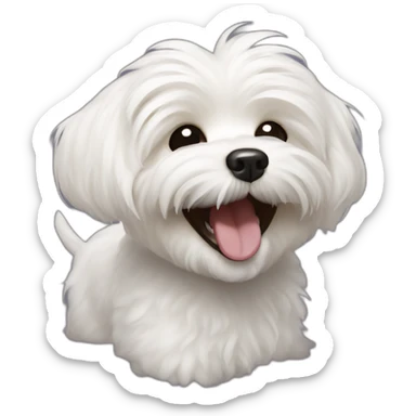 dog bichon havanese laughing sticker