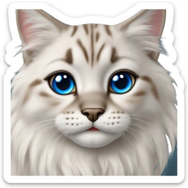 Lynx point rag doll cat blue eyes sticker