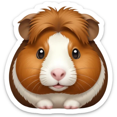 Guinea pig sticker