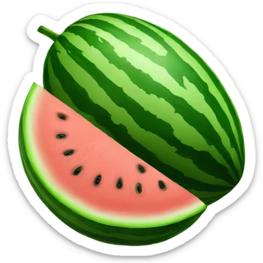 Watermelon  sticker