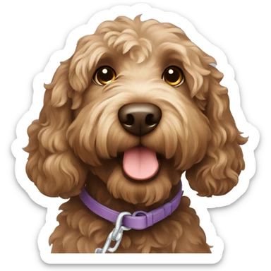 Brown labradoodle dog with leash  sticker